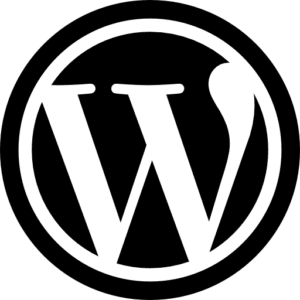 تعمیرات وردپرس